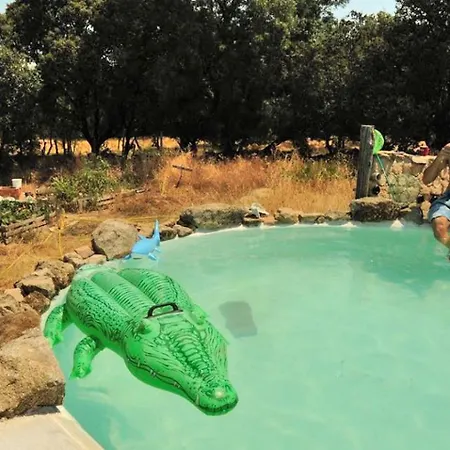 Ecological Dome Structure With A Natural Pool For A Glamping Getaway Near Madrid, Spain