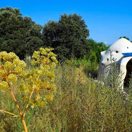 Ecological Dome Structure With A Natural Pool For A Glamping Getaway Near Madrid, Spain Holiday home Fresnedilla